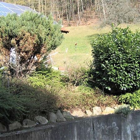 Ferienwohnung Burgblick Seelbach  Eksteriør bilde